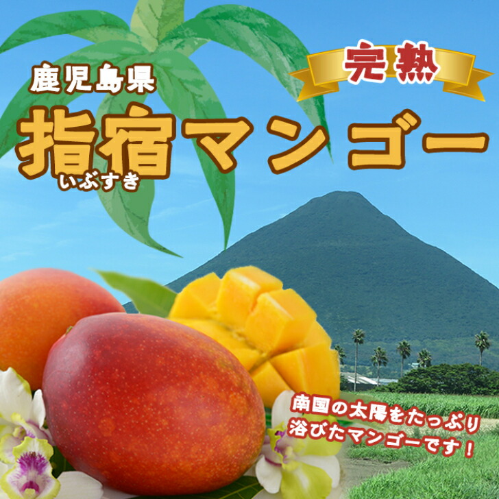 楽天市場】指宿マンゴージェラート 120ml×6個セット 送料無料 指宿産