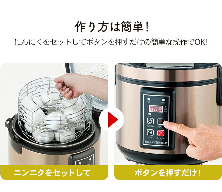 ヤマダモール | ファミラ 黒にんにく発酵器EX 黒にんにくメーカー