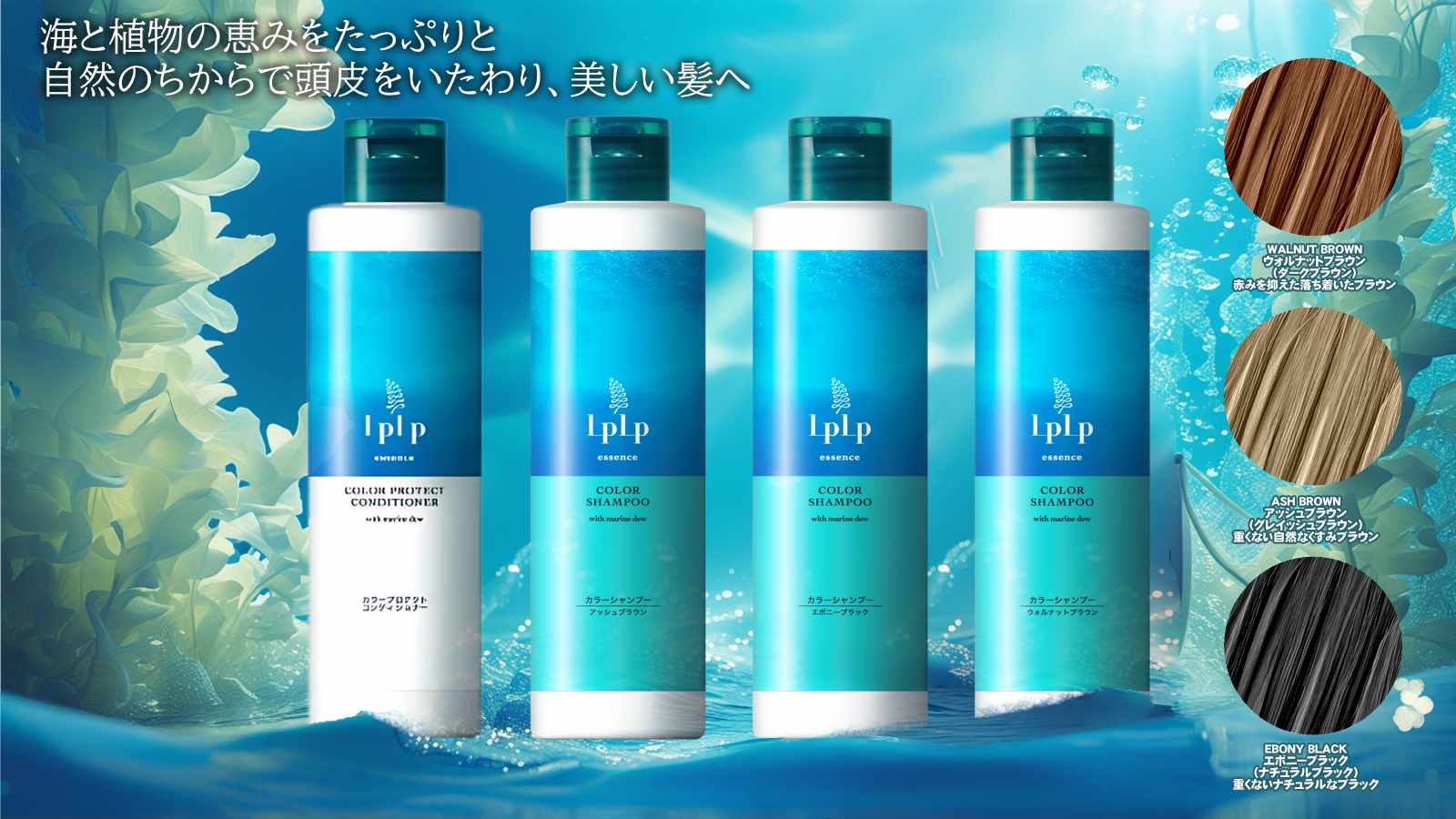 楽天市場】【最大400円OFFクーポン】ココネ クレイクリームシャンプー