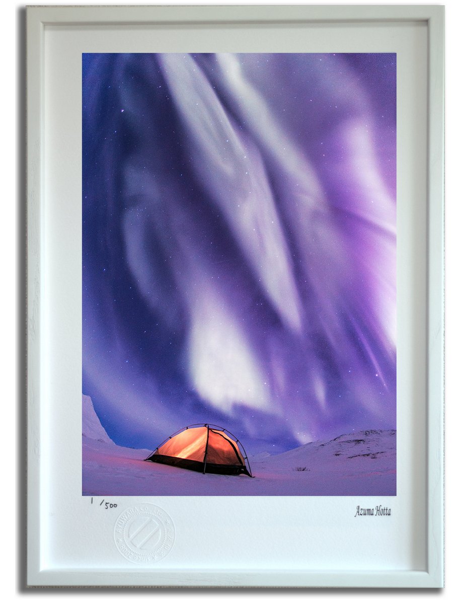 楽天市場】【スーパーSALE半額】版画 絵画 ピンクオーロラ004 アラスカ