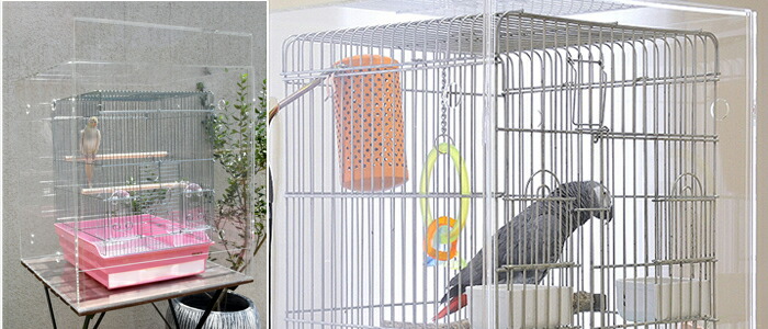 【美品】アクリル バードケージ　W500×H500×D485 プレミアム】W500×H500×D485 アクリルバードケージ [ワイドタイプ