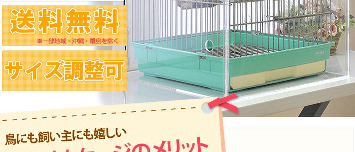 【美品】アクリル バードケージ　W500×H500×D485 プレミアム】W500×H500×D485 アクリルバードケージ [ワイドタイプ