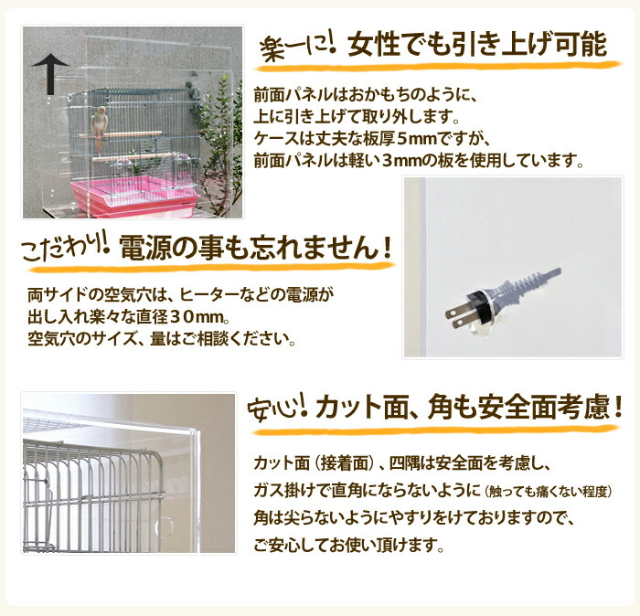 銀鶏鳥‼️美品‼️剥製‼️希少‼️高級品‼️ガラスケース付き‼️激安破壊出品‼️送料無料‼️ 特大 銀鶏鳥 錦鶏鳥 剥製 置物 高級木製枠ガラスケース - メルカリ