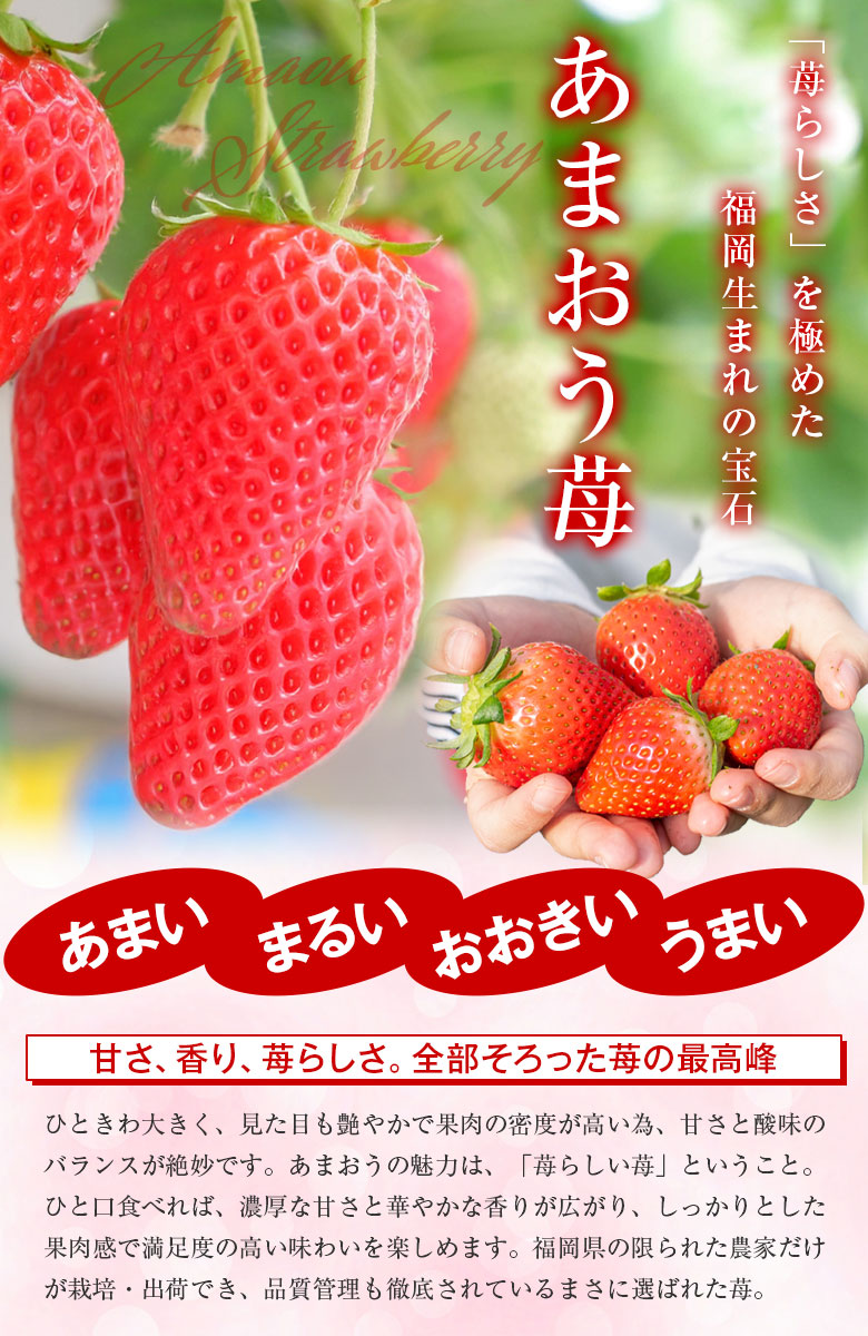 ヤマダモール | 【店頭販売入稿用】ギフト ゼリー 【夕張メロン・福岡