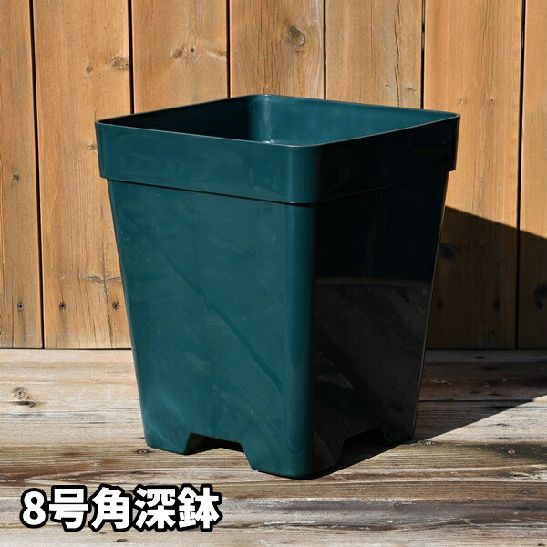 8角×10鉢セット】プレミアローズセレクション【8号角深鉢10鉢セット