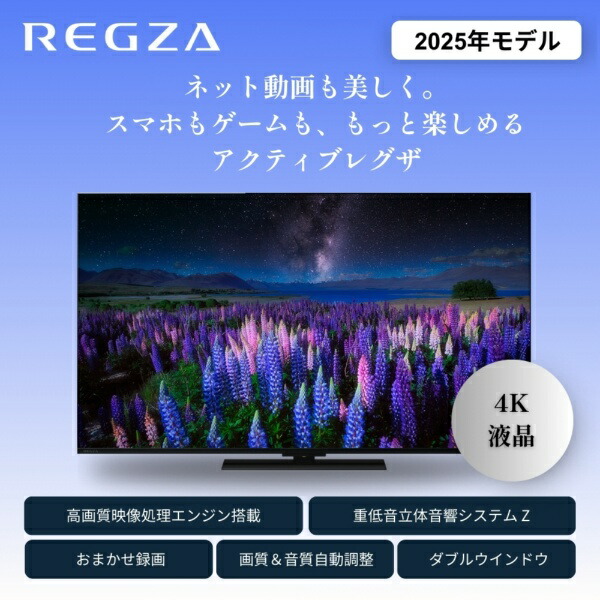 楽天ビック｜【エントリーで最大2万ポイント当たる｜2/25まで】 REGZA