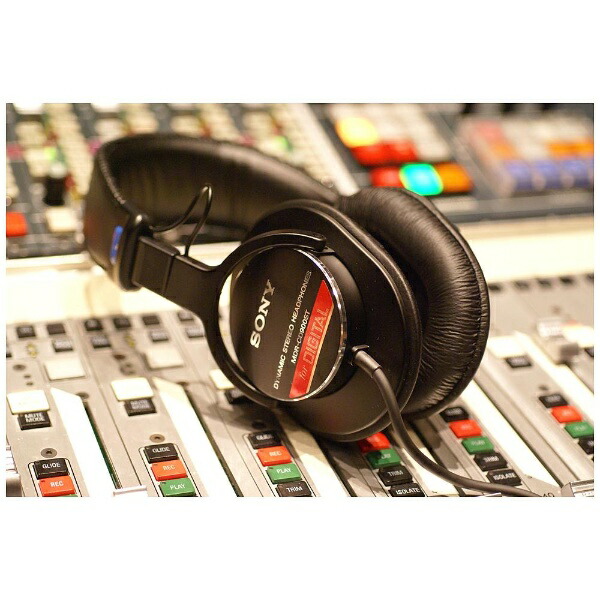 楽天ビック｜【エントリーで最大2万ポイント当たる｜2/25まで】 SONY