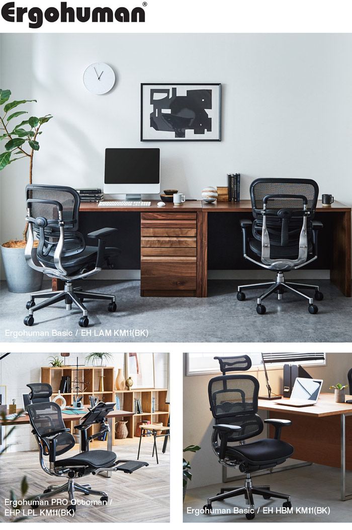 楽天市場】【旧タイプ】 エルゴヒューマン プロ オットマン 内蔵 EHP