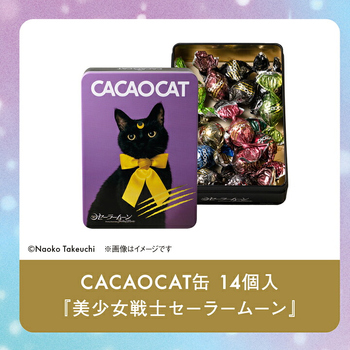 美少女戦士セーラームーン ｜DADACA Online Store