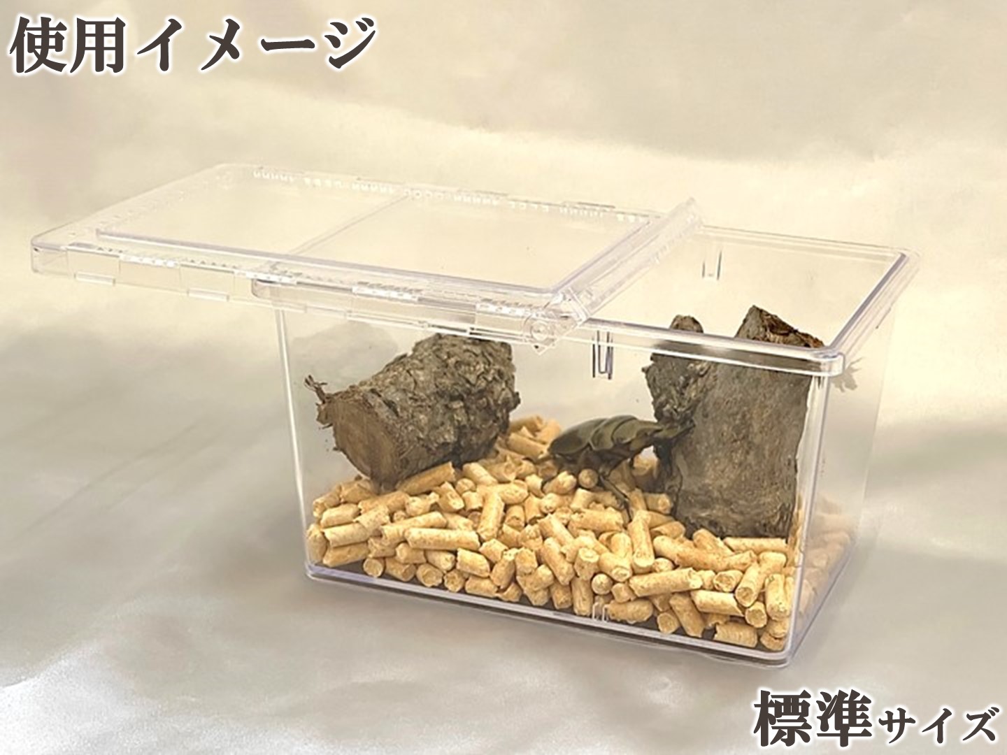 楽天市場】【DDA】クリアースライダー 標準/ラージ dda クワガタ