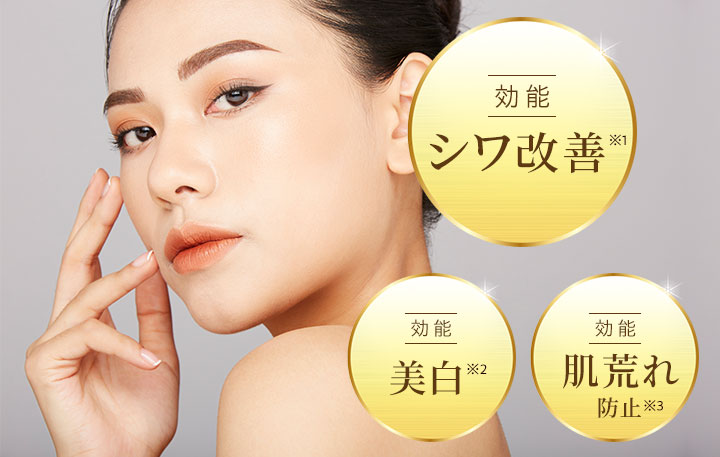 楽天市場】【店内P最大18倍以上開催】【DHC直販】【送料無料】真皮と