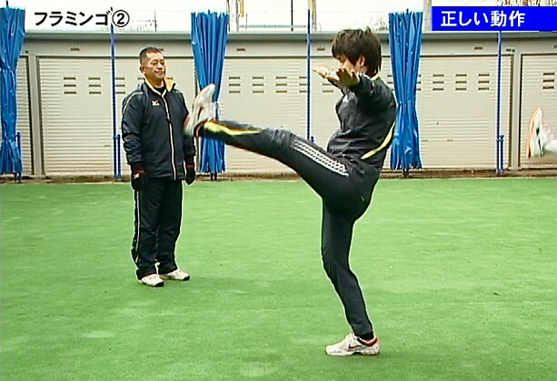 楽天市場】クリーチャートレーニング〜生き物の動作が選手の体を活性化