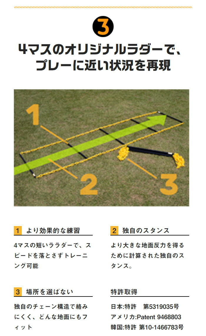 楽天市場】タニラダーベーシック シングルセット（サッカー版）DVD