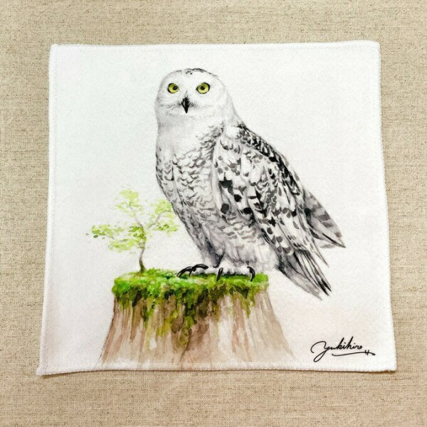 楽天市場】水彩画ハンドタオル フクロウ ◇ゆうパケット対応◇ 梟