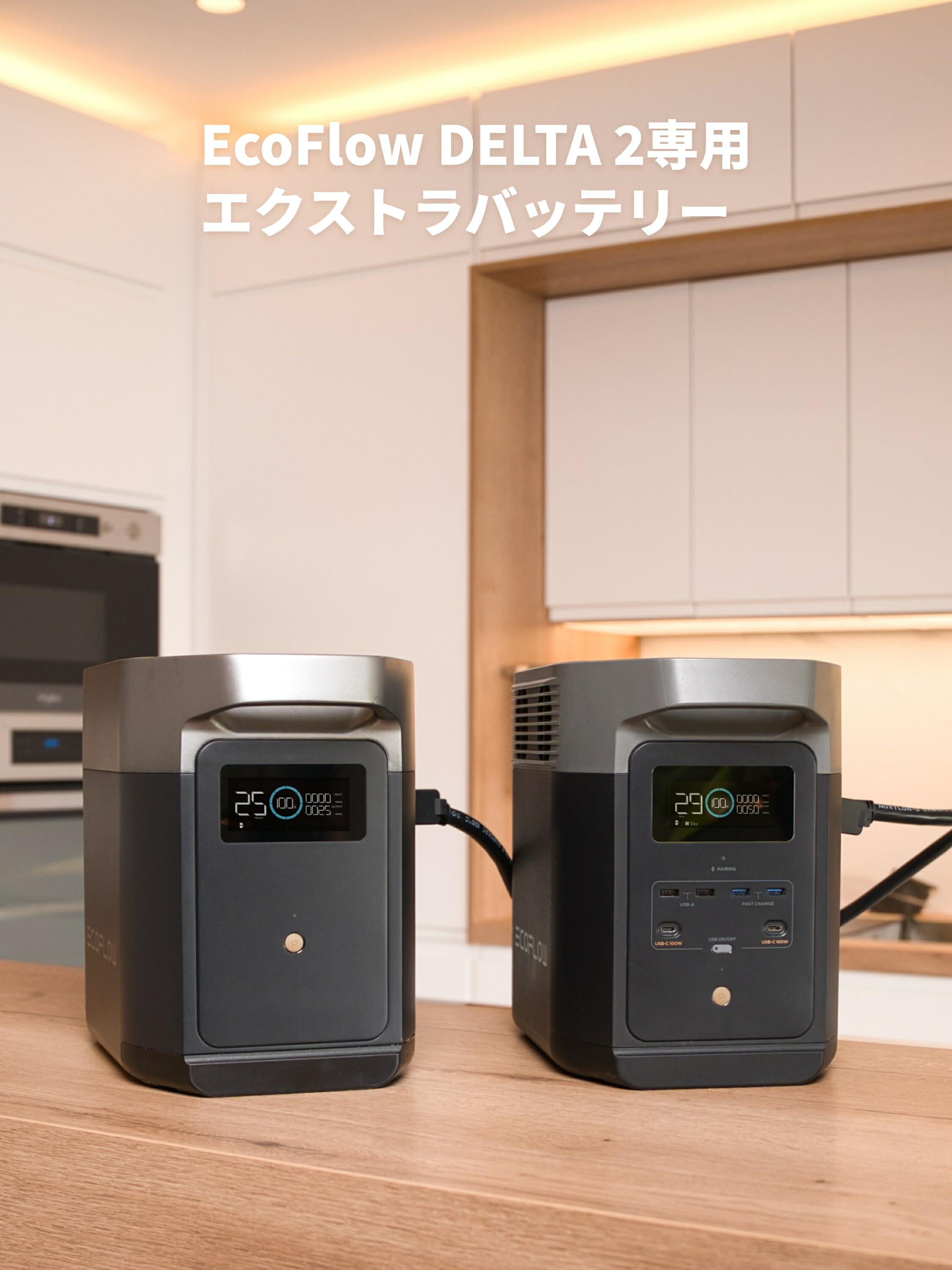 楽天市場】EcoFlow DELTA 2 専用エクストラバッテリー1024Wh