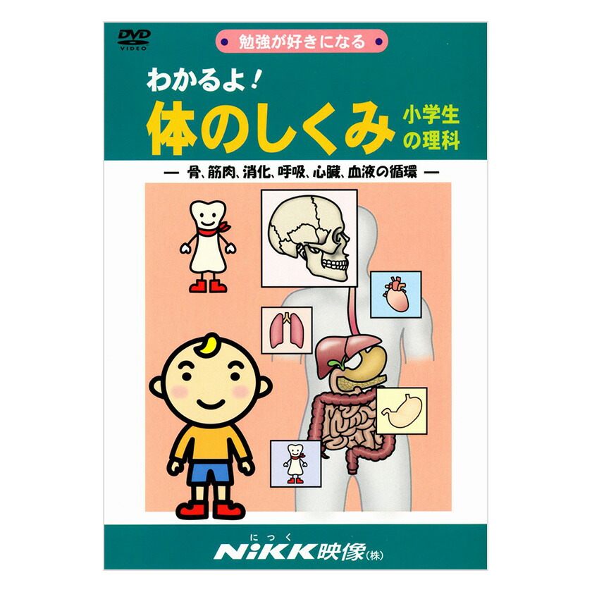 楽天市場】わかるよ！日本の地理 小学生の社会 DVD 日本語 【正規販売