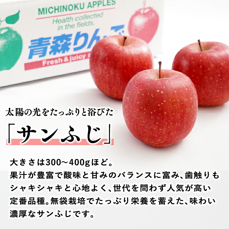 楽天市場】【ふるさと納税】≪2026年12月発送≫青森県産 山の完熟サン