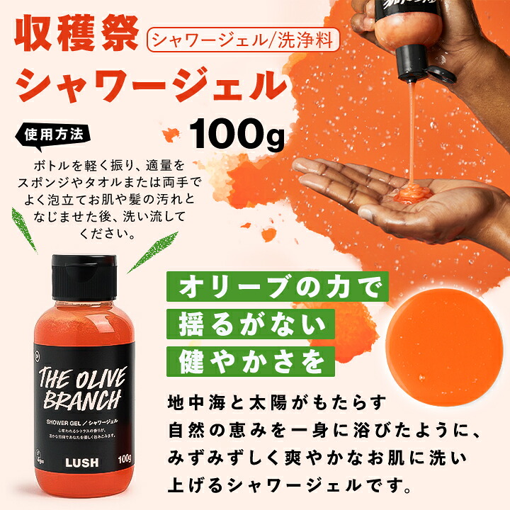 楽天市場】【ふるさと納税】LUSH ラッシュ オール ザ ベスト ギフト