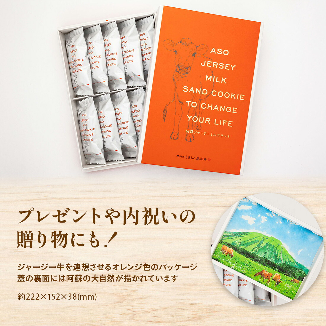 くまもと銀彩庵 阿蘇ジャージーミルクサンド 10個入｜ 内祝い 手土産