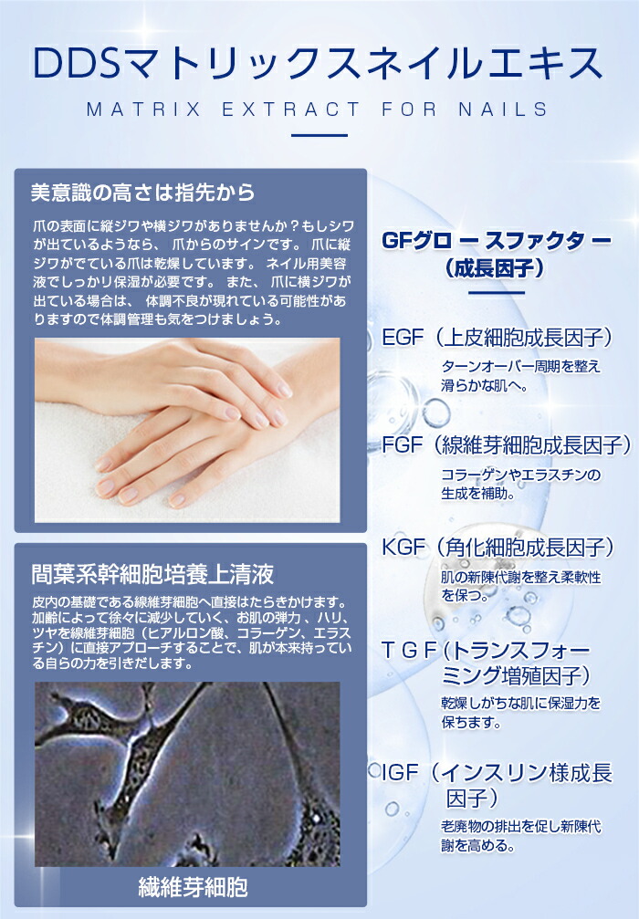 楽天市場】DDS マトリックス ネイルエキス 爪 幹細胞 指先美人 美容液