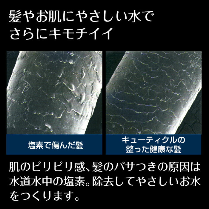 楽天市場】タカギ 塩素除去 カプセル Miz-e 2個入 JSC001 【 塩素除去