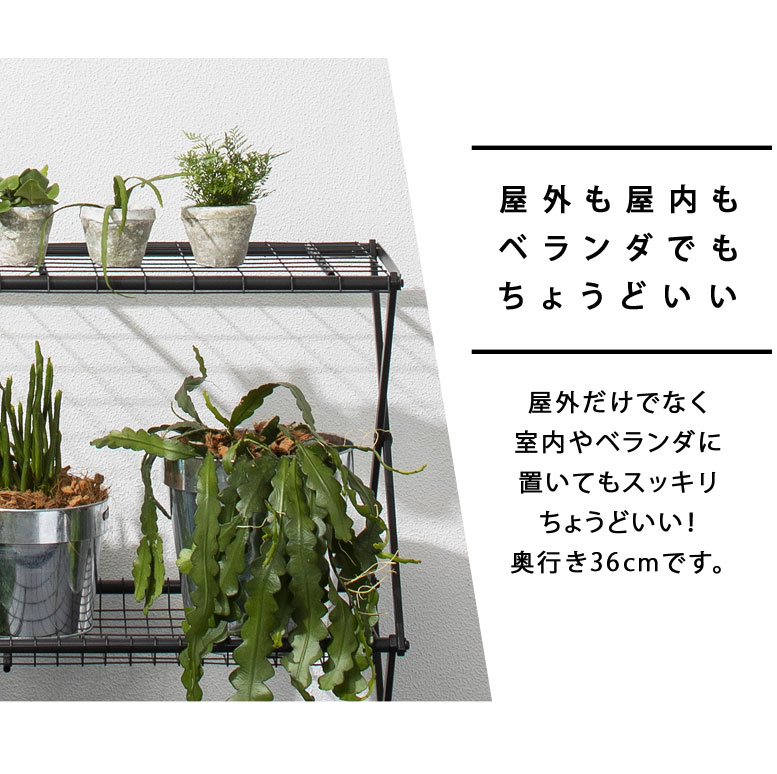 パンタグラック Sサイズ (Pantagrack Ssize)