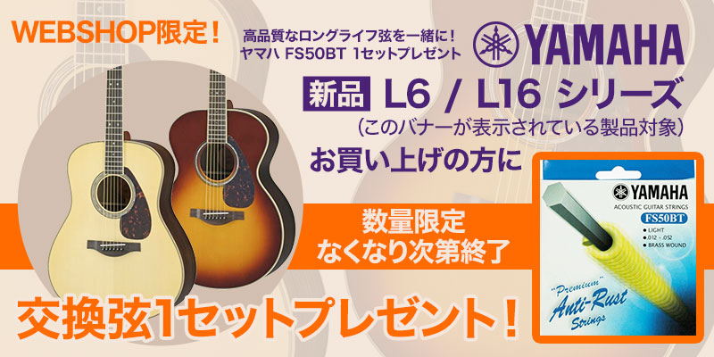 楽天市場】【在庫有り】 YAMAHA / LL16D ARE NT (ナチュラル) 【専用