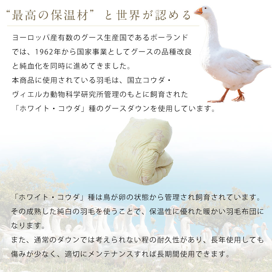 匠の羽毛布団 ダブル ポーランド産コウダグース93％ エルノ | じぶん