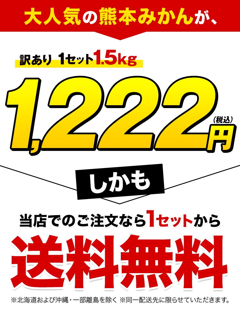 訳あり熊本みかん 1.5㎏ 送料無料 熊本 ミカン 果物 柑橘《7-14営業日