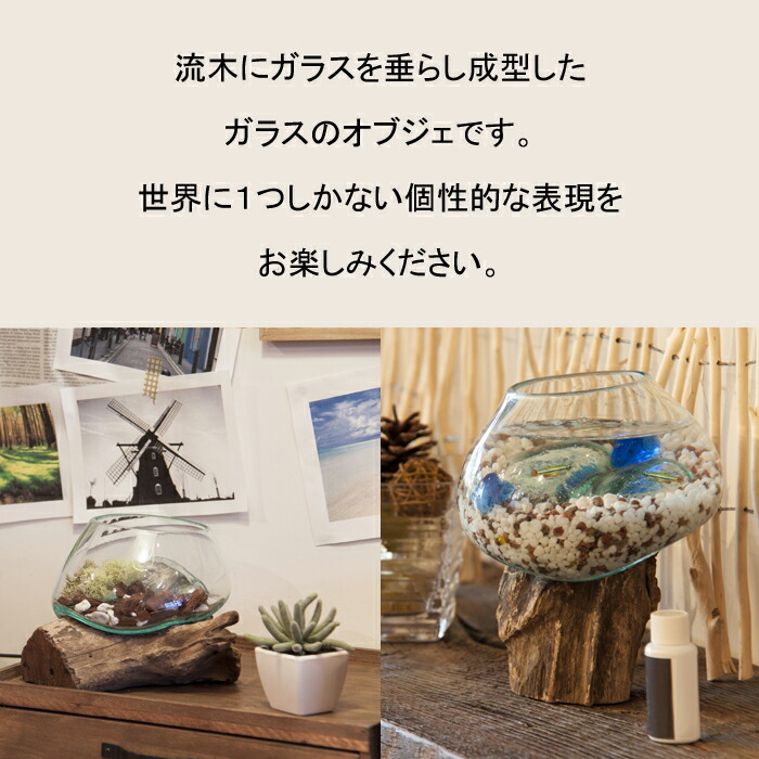 楽天市場】グラスオブジェ 置物 オブジェ エアプランツ 天然木 ガラス