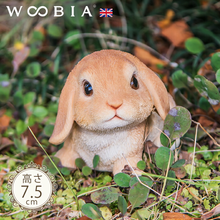 楽天市場】【スーパーセール 最大10%OFF 】小さなたれ耳うさぎ