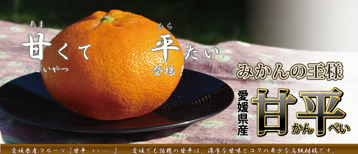 愛媛県産 甘平 精品10kg（M～4L混み） - きなはいやインターネット店