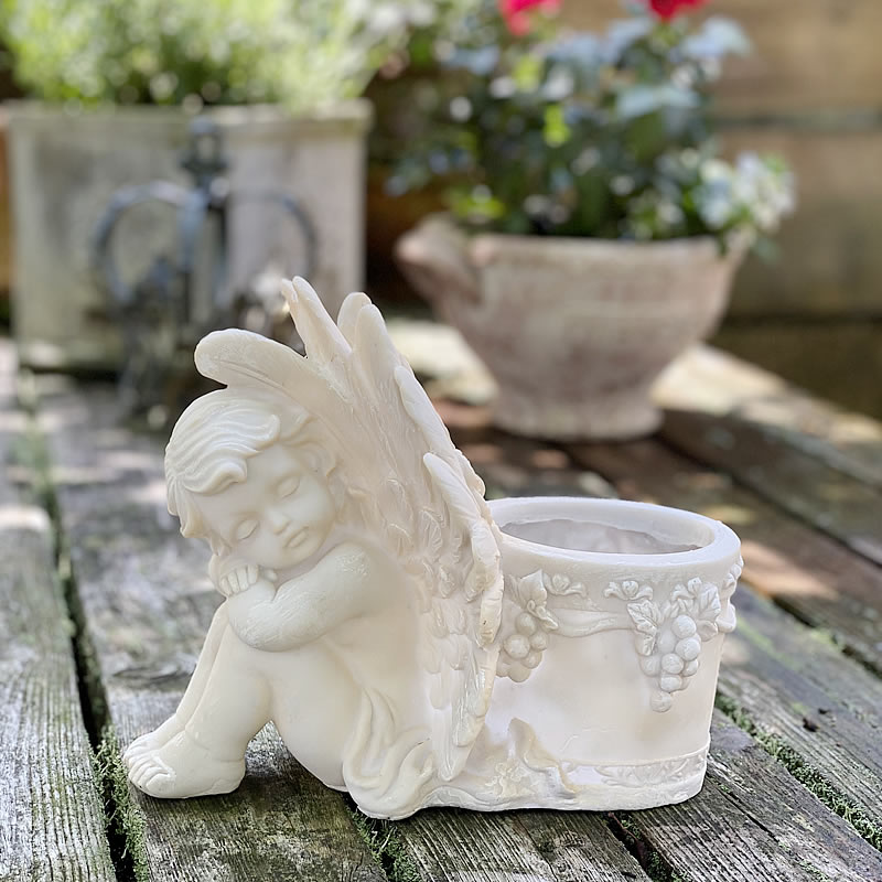 楽天市場】【スーパーセール期間限定価格】 ドリーミーエンジェル