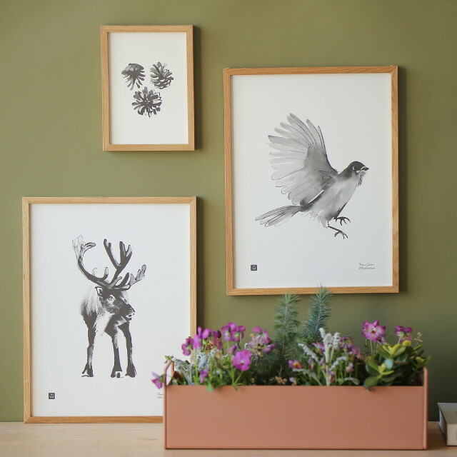 楽天市場】Teemu Jarvi (テーム・ヤルヴィ) ポスター FOX (アカギツネ