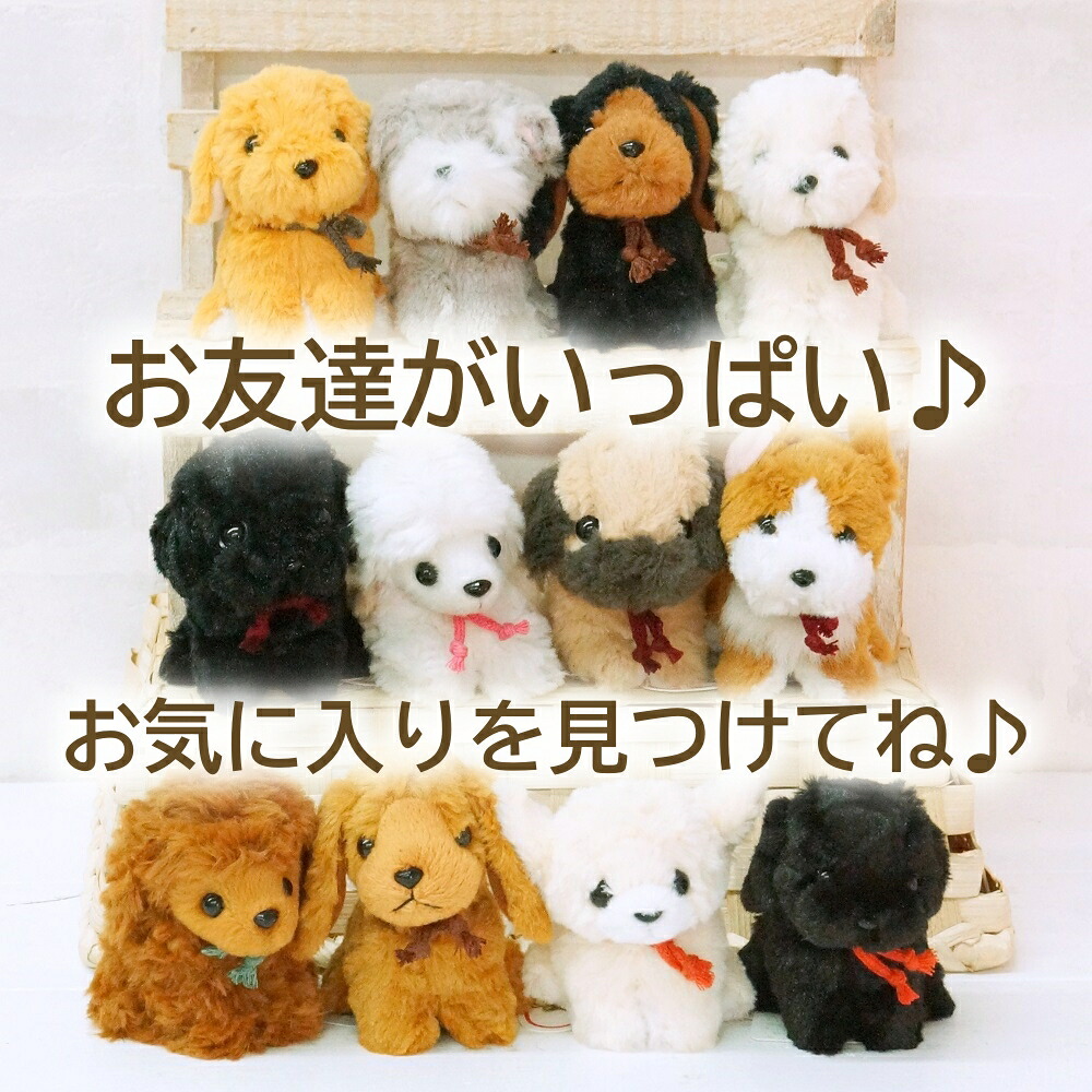 楽天市場】犬 雑貨 ぬいぐるみ 白 チワワ クリーム アイボリー プチお