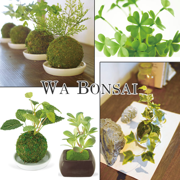 楽天市場】人工観葉植物 WA BONSAI ARTIFICIAL GREEN （ 造花 フェイク