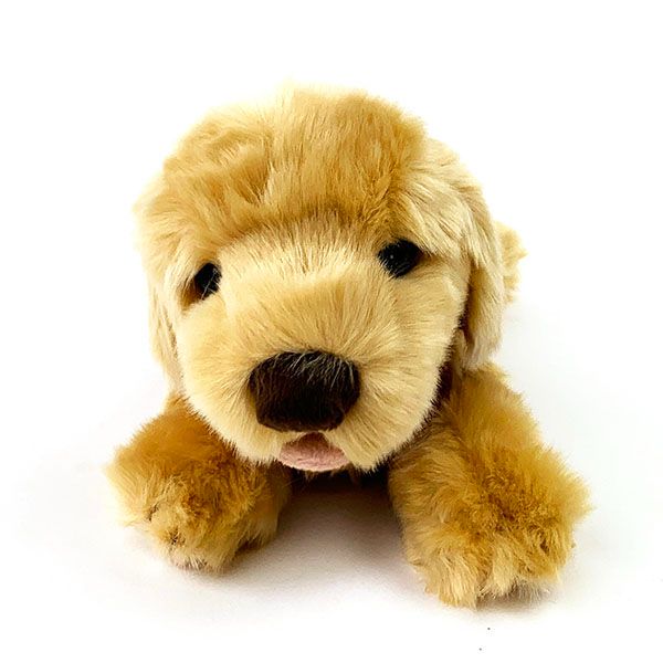 ラブドッグ ゴールデンレトリバー ぬいぐるみ SS イヌ うみのなかま