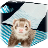 夏用ハンモック フェレットワールド WEB SHOP