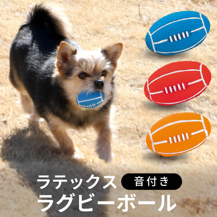 楽天市場】【エントリーでポイント5倍確定】犬用おもちゃ 犬 知育 噛む