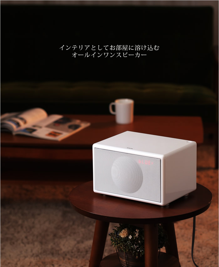 インテリアショップ roomy geneva s