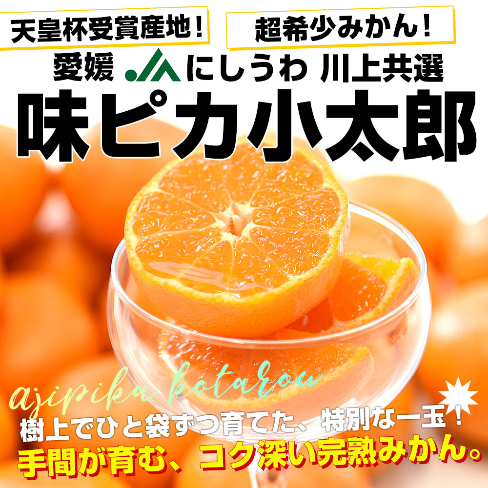 楽天市場】愛媛県産 JAにしうわ 川上共選 味ピカ小太郎 2.5キロ化粧箱