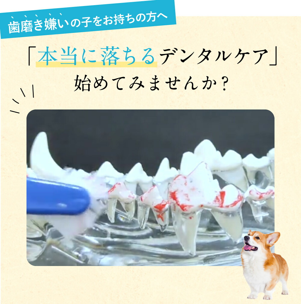 楽天市場】ドクターデンタルワン 30g 1ヶ月分 犬 歯磨き 歯磨きジェル