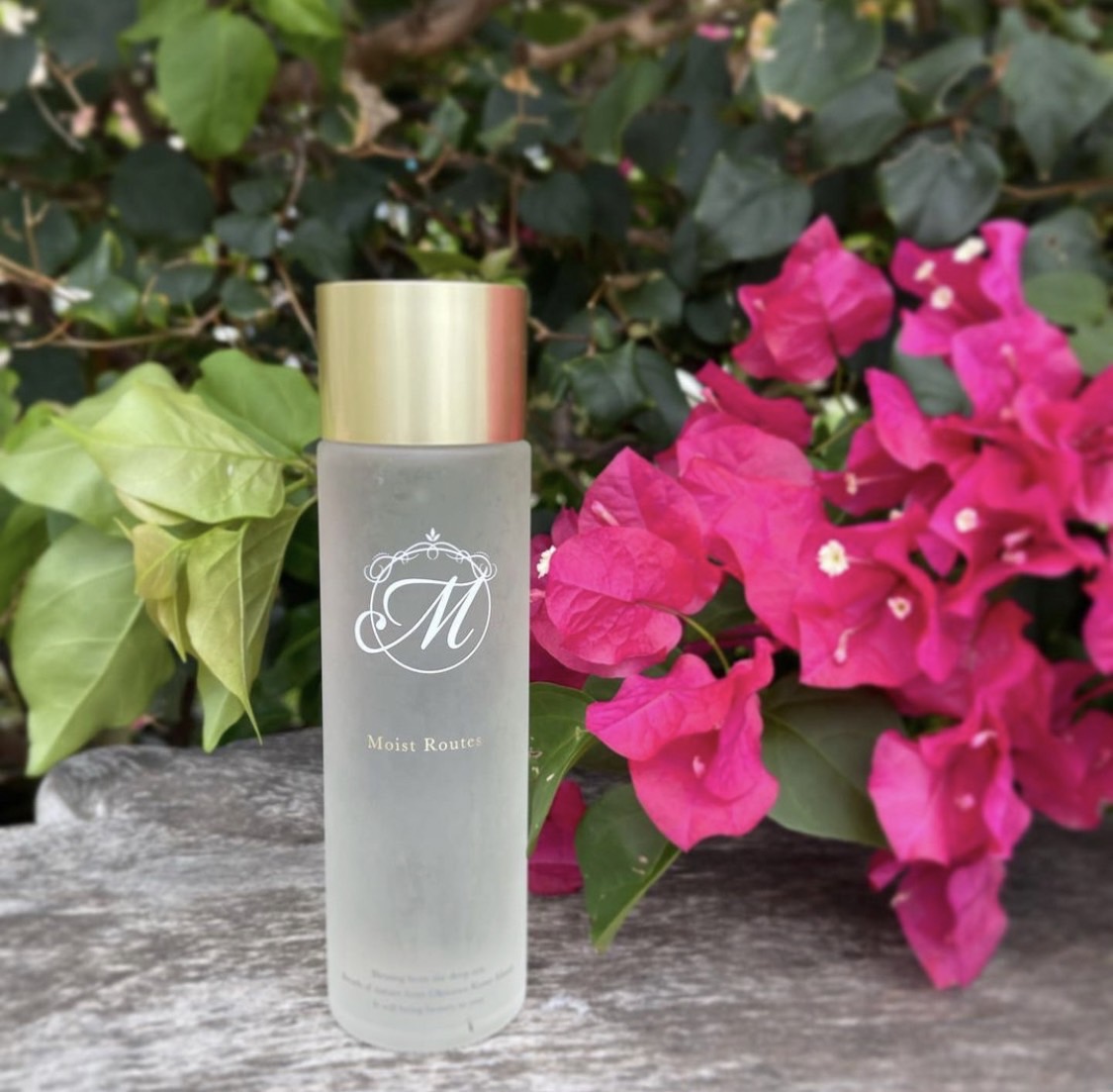 BONITO モイストセラム モイストルーツ モイストルーツ – Salon BONITO