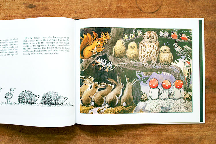 楽天市場】絵本 英語 エルサベスコフ もりのこびとたち 【外国絵本