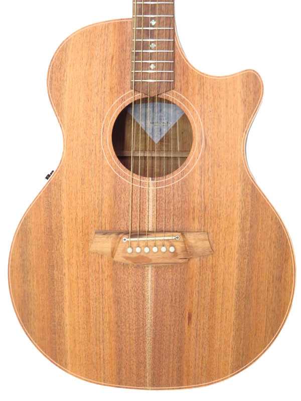 Cole Clark】コールクラーク『E.アコースティックギター』AN2EC-BLBL