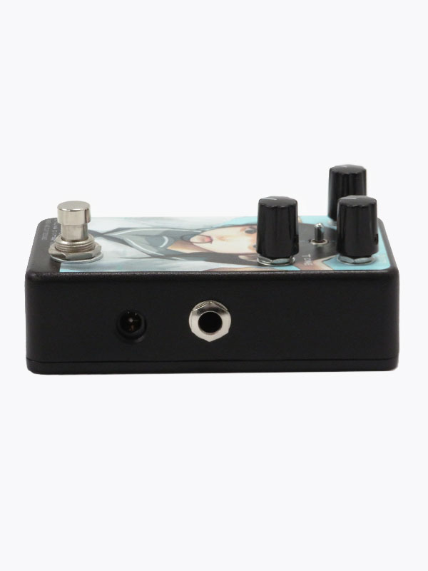 Animals Pedal】アニマルズペダル『ディストーション』Tioga Road