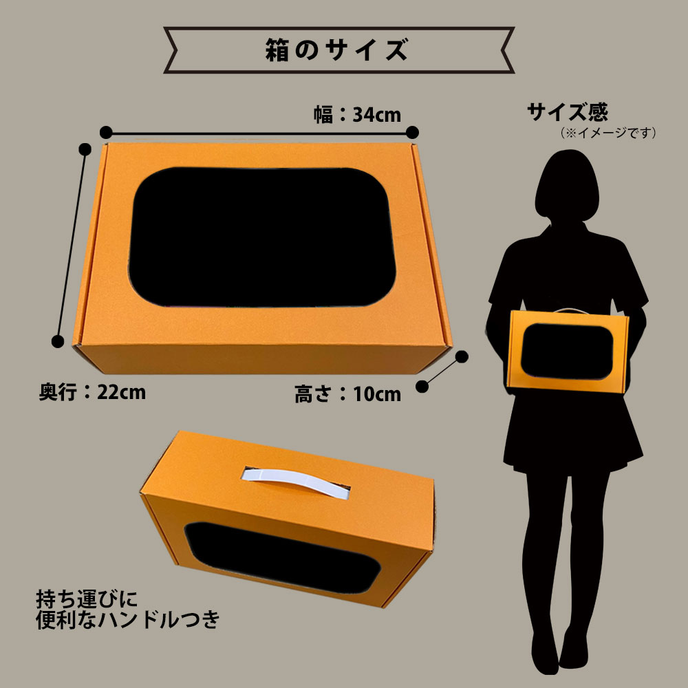 楽天市場】【ギフト チェキB】富士フィルム（フジフィルム）チェキ