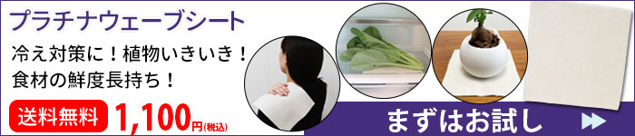 楽天市場】プラチナウェーブ 葵シングルセット : トータルヘルスデザイン