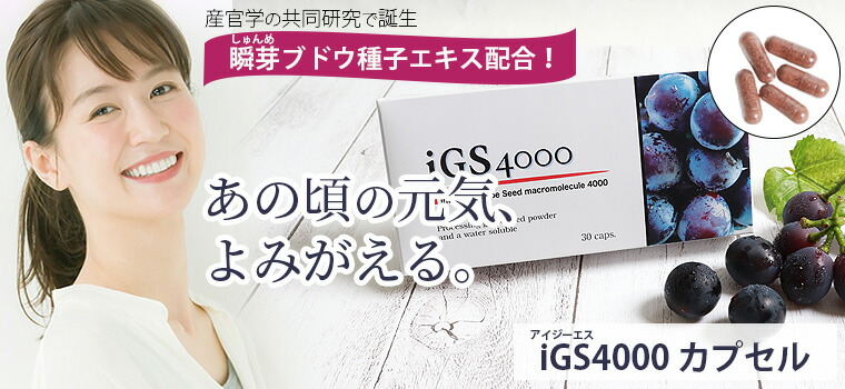 楽天市場】iGS4000 カプセル（30カプセル） : トータルヘルスデザイン