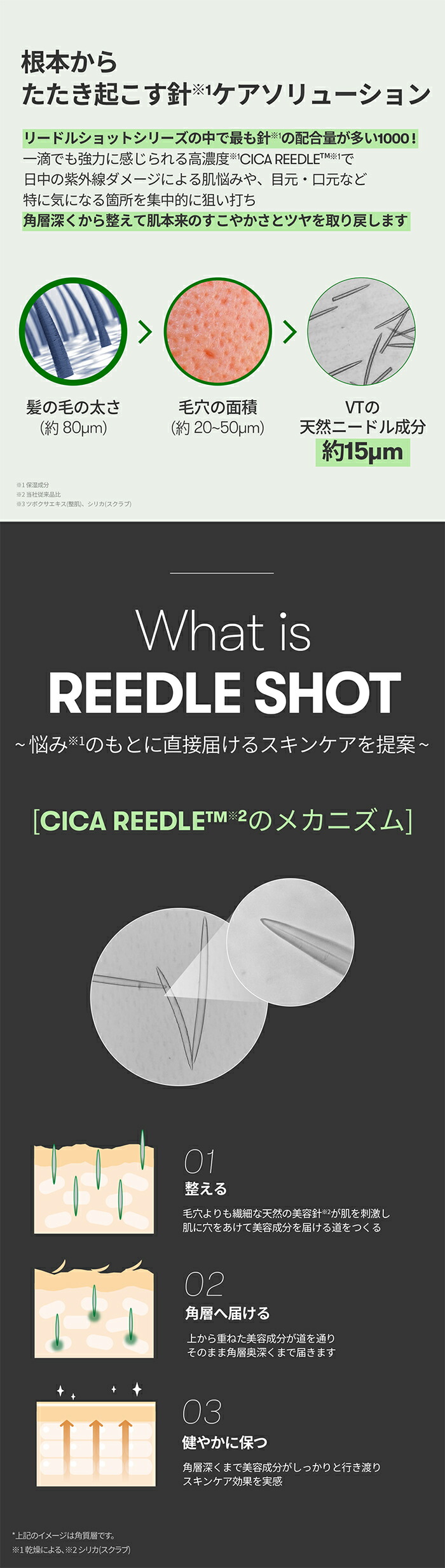 楽天市場】【VT公式】【 VT リードルショット 1300 】 美容液 導入液